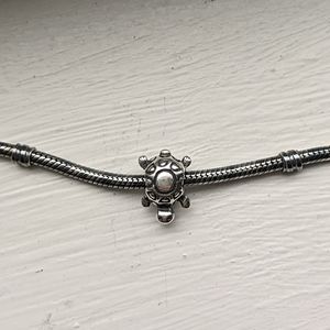 Pandora Turtle Charm